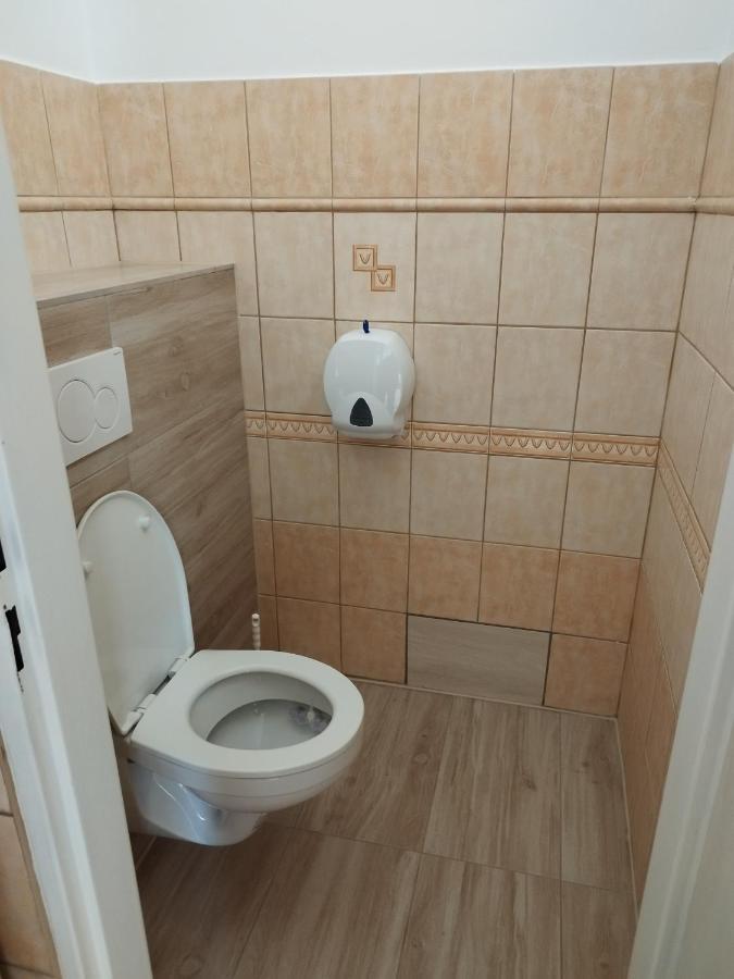 Ubytovanie Vo Dvore Badin Εξωτερικό φωτογραφία